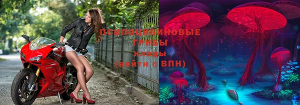Альфа ПВП Вязники